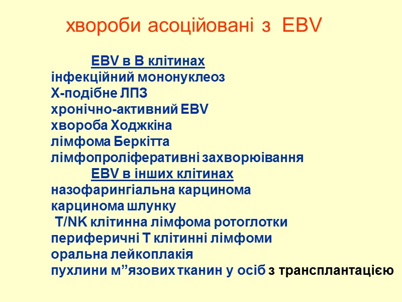 EBV в B клітинах  інфекційний мононуклеоз  X-подібне ЛПЗ  хронічно-активний EBV 